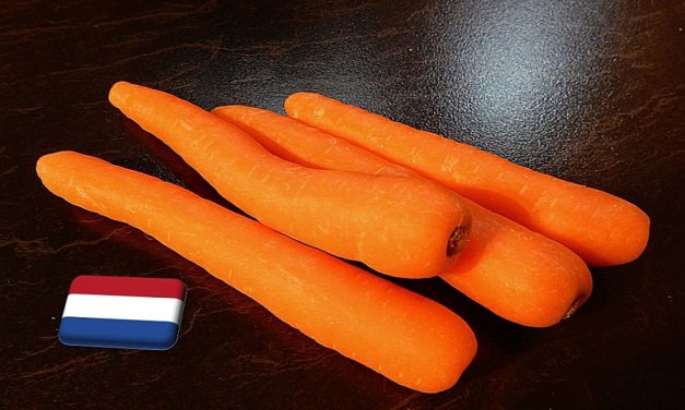Hollandia: jelentős áremelkedés a sárgarépa piacán