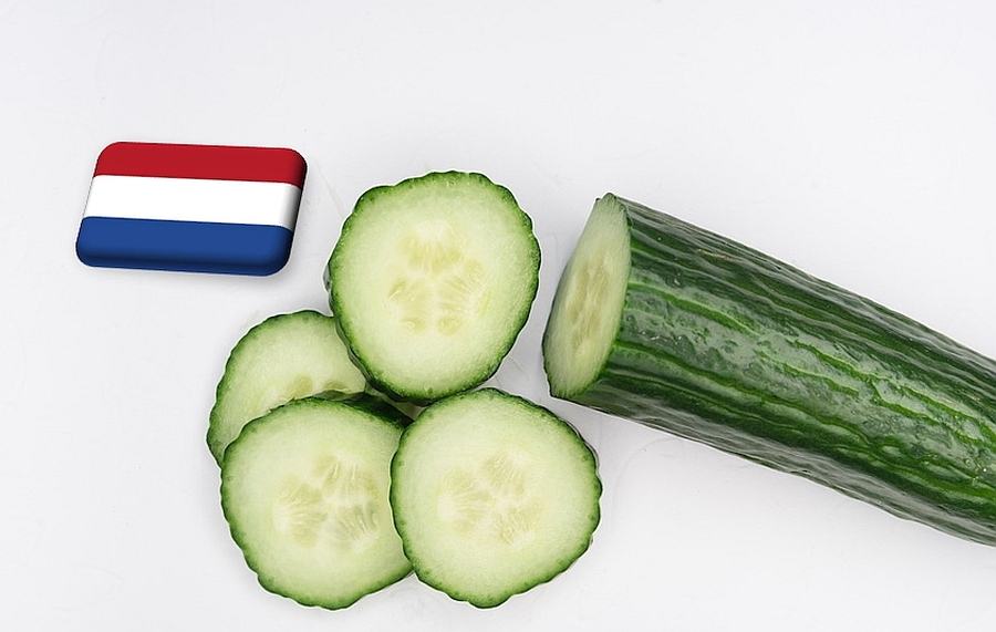 Hollandia: ismét emelkedőben az uborka ára
