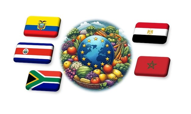 EU: 6,5%-kal nőtt eddig az idei zöldség-gyümölcs import