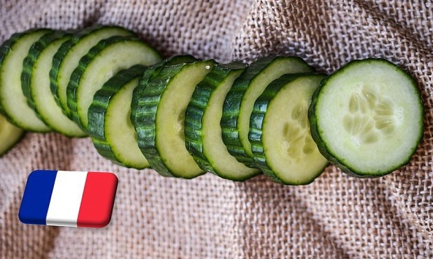 Franciaország: 4%-kal nőtt az uborkatermelés volumene