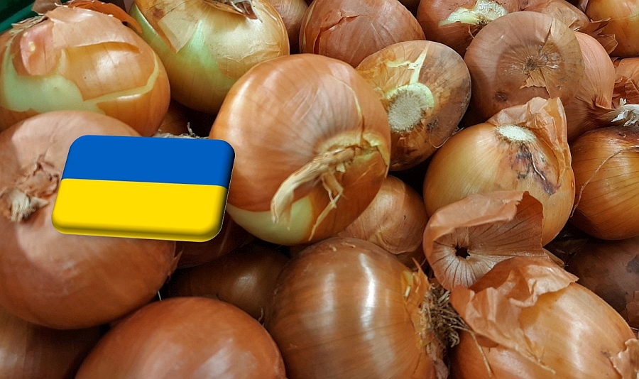 Ukrajna: ismét csökkenőben a vöröshagyma ára