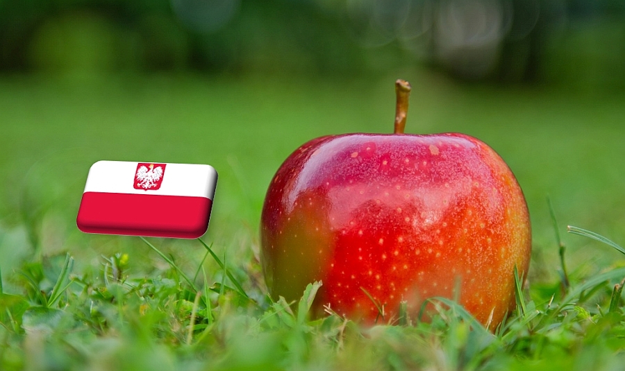 Lengyelország: várat magára az étkezési alma felvásárlási árának emelkedése