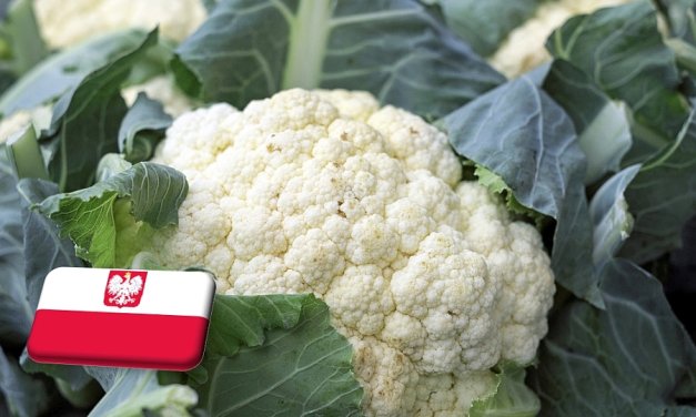 Lengyelország: továbbra is az egekben a karfiol ára