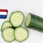 Hollandia: elfogadható eredményekkel zárul az uborka idei szezonja 