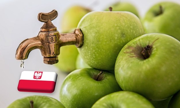 Lengyelország: döcögősen indult újra az ipari alma felvásárlása