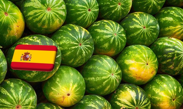 Spanyolország: 10%-kal csökken a görögdinnye termőterülete Almería körzetében