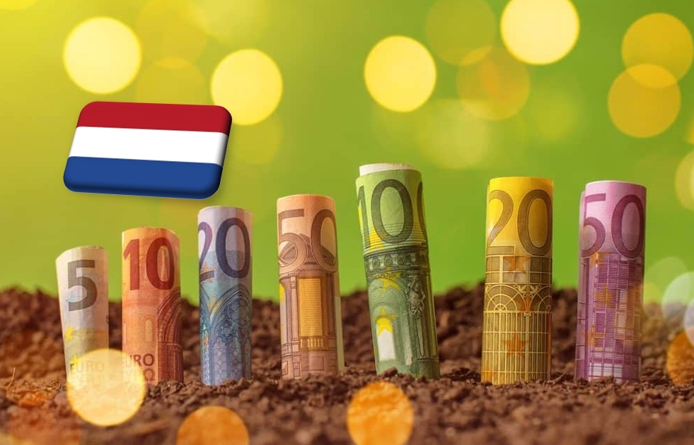 Hollandia: 7,2%-kal emelkednek az üvegházakban dolgozó munkások bérei
