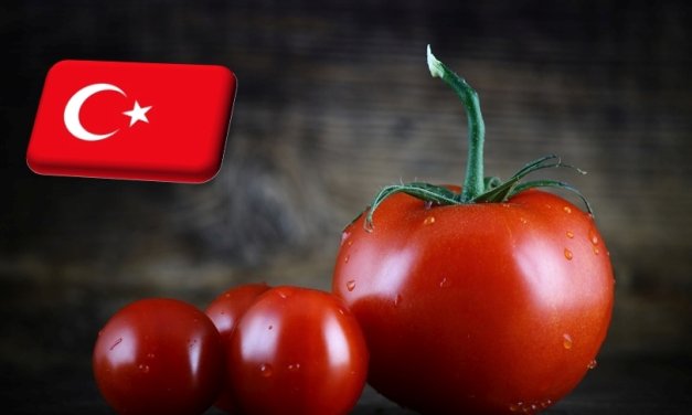 Törökország egyre nagyobb teret nyer az EU paradicsompiacán