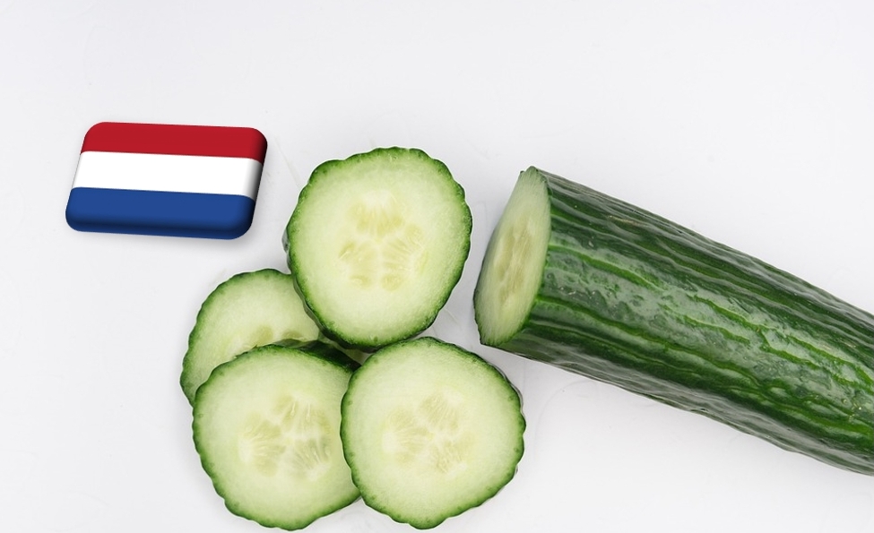 Hollandia: továbbra is zuhanórepülésben az uborka ára