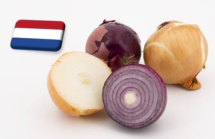 Hollandia: már a negyedik hete esik a vöröshagyma ára a nagybani piacokon