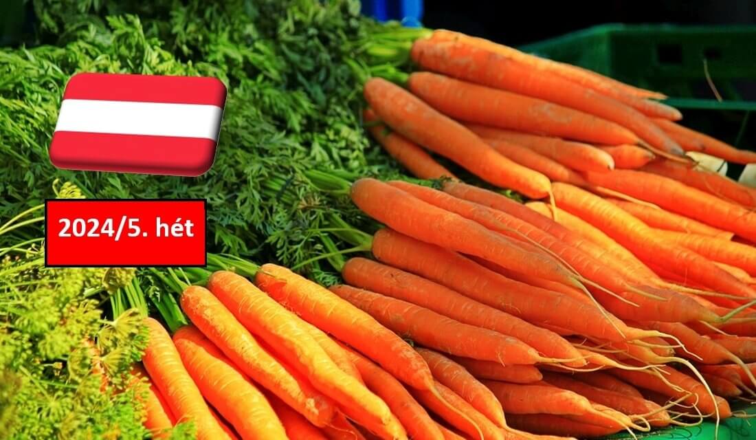 Ausztria: az 5. héten is kiegyensúlyozott maradt a sárgarépa piaca