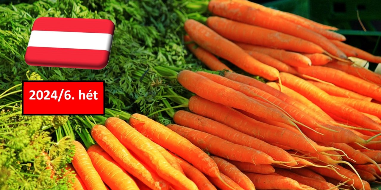 Ausztria: a 6. héten is kiegyensúlyozott maradt a sárgarépa piaca