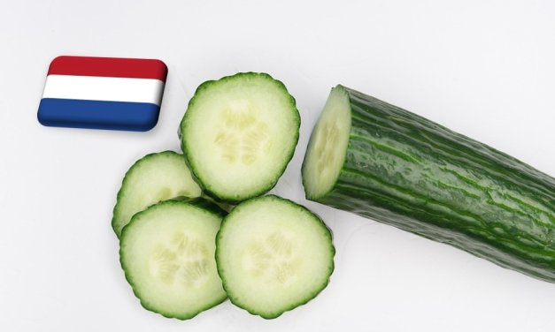 Hollandia: februárban tovább csökkent az uborka ára