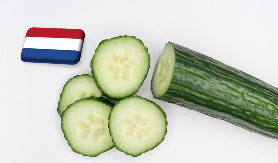 Hollandia: februárban tovább csökkent az uborka ára
