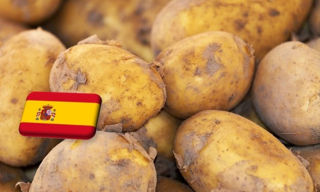 Spanyolország: magas termesztési költségekkel küzdenek az andalúz burgonyatermesztők