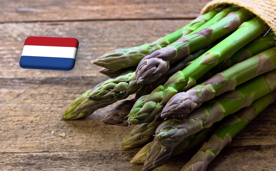 Hollandia: megjelent az első korai spárga a piacon