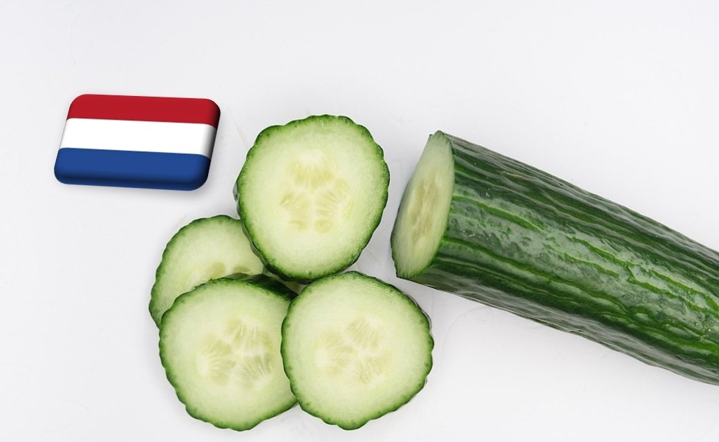 Hollandia: február végére magához tért az uborka ára