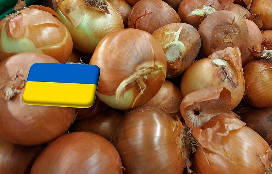Ukrajna: váratlanul esni kezdett a vöröshagyma ára