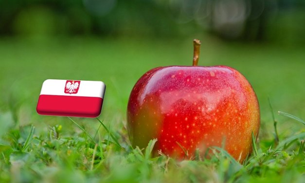 Lengyelország: 7,8%-kal nőtt az almaexport volumene 2023-ban