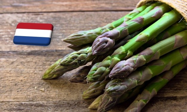 Hollandia: egyre több és olcsóbb a spárga a piacokon