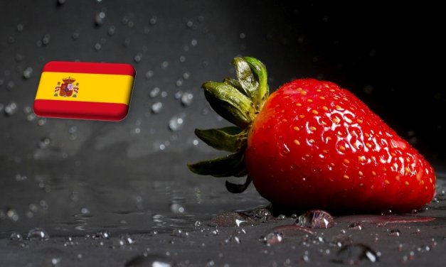 Spanyolország: vontatottan indul a 2024-es szamócaszezon
