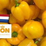 Hollandia: túlkínálat jellemezte a paprikaszezon első szakaszát 