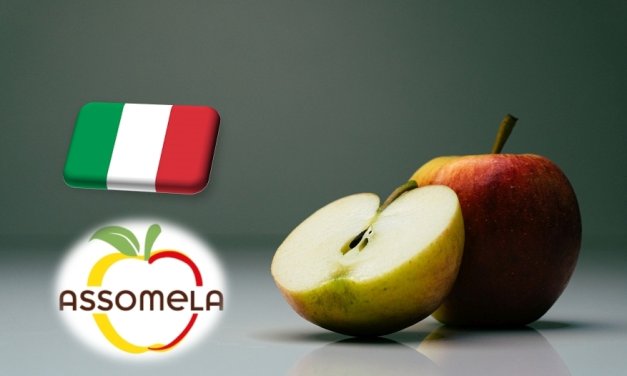 Olaszország: jól halad az alma értékesítése a 2024-es évben