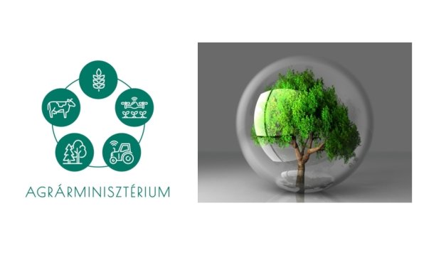 Biomassza konferenciát rendeztek kicsiknek és nagyoknak
