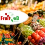 FruitVeB és tagszervezetei szervezeti ülései – Dunaharaszti, 2024.04.07 és 2024.04.11
