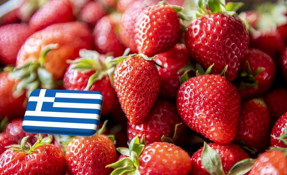 Görögország: 10%-kal nőtt idén a szamóca exportja a tavalyi szinthez képest