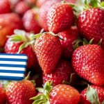 Görögország: jó hozamokkal és exportmennyiségekkel indult a szamócaszezon 