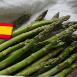Spanyolország: a tavalyinál 10-15%-kal több zöld spárgát várnak Granadában 