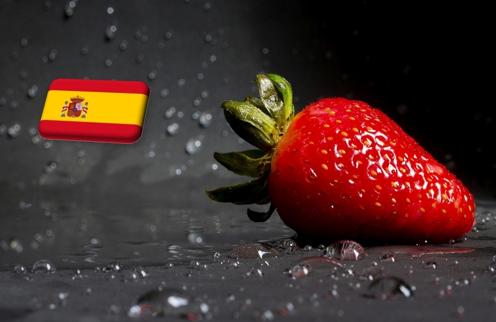 España: El inicio de la temporada de fresas se retrasa este año con dos semanas