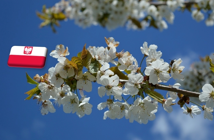 Lengyelország: éjszakai fagyok várhatók a következő pár napban