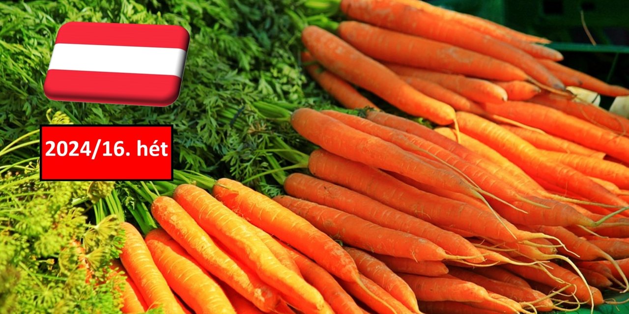 Ausztria: a 16. héten emelkedett a sárgarépa nagybani ára