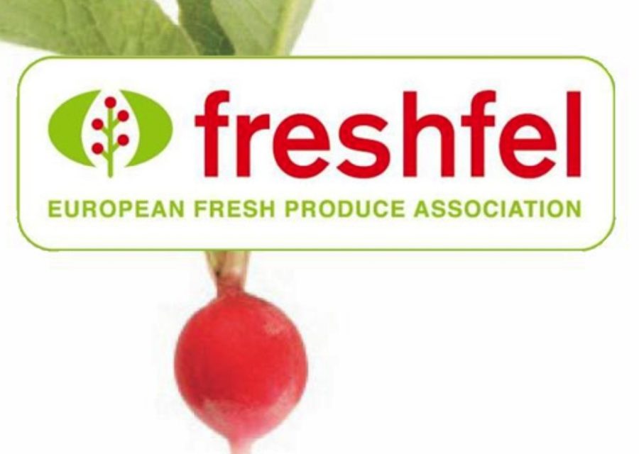 Freshfel: 2020 óta ismét csökkenést mutat az uniós frissgyümölcs- és zöldségfogyasztás