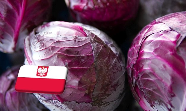 Lengyelország: áprilisban meredeken emelkedett a vöröskáposzta ára