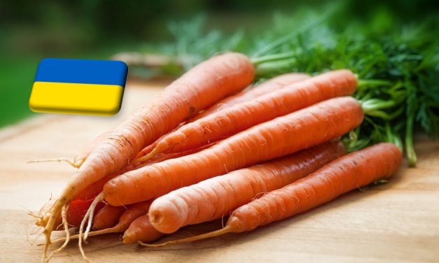 Ukrajna: április végén rekord mélységbe süllyedt a sárgarépa ára