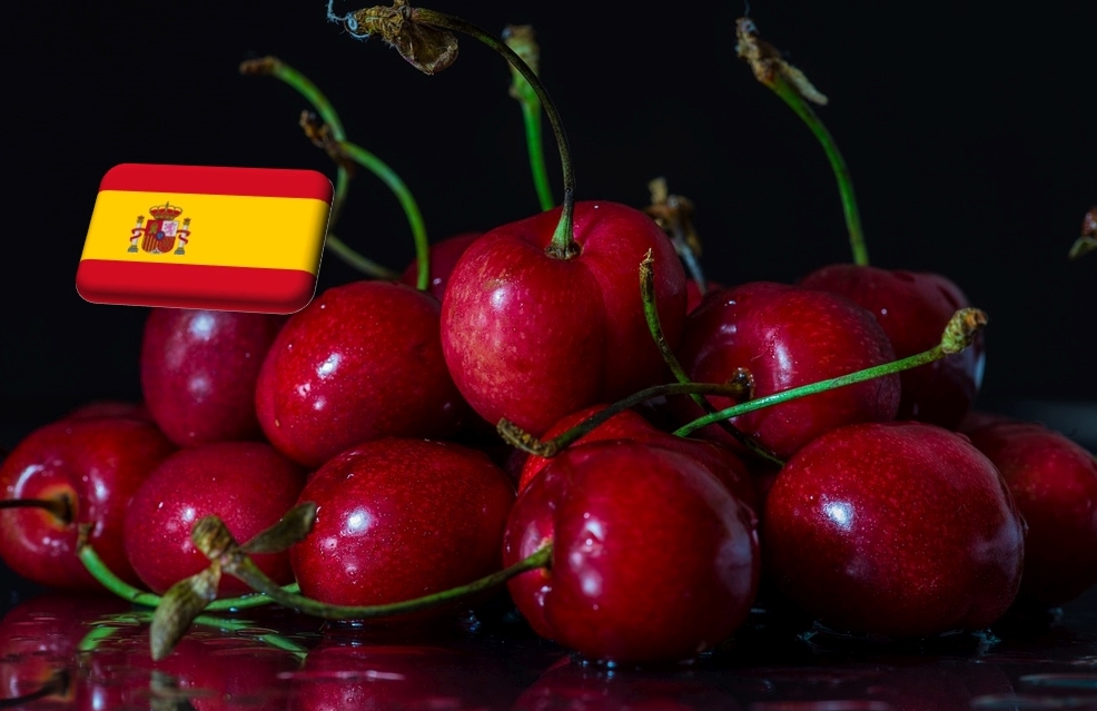 Spanyolország: áprilisi fagyok károsítottak a cseresznyeültetvényeken