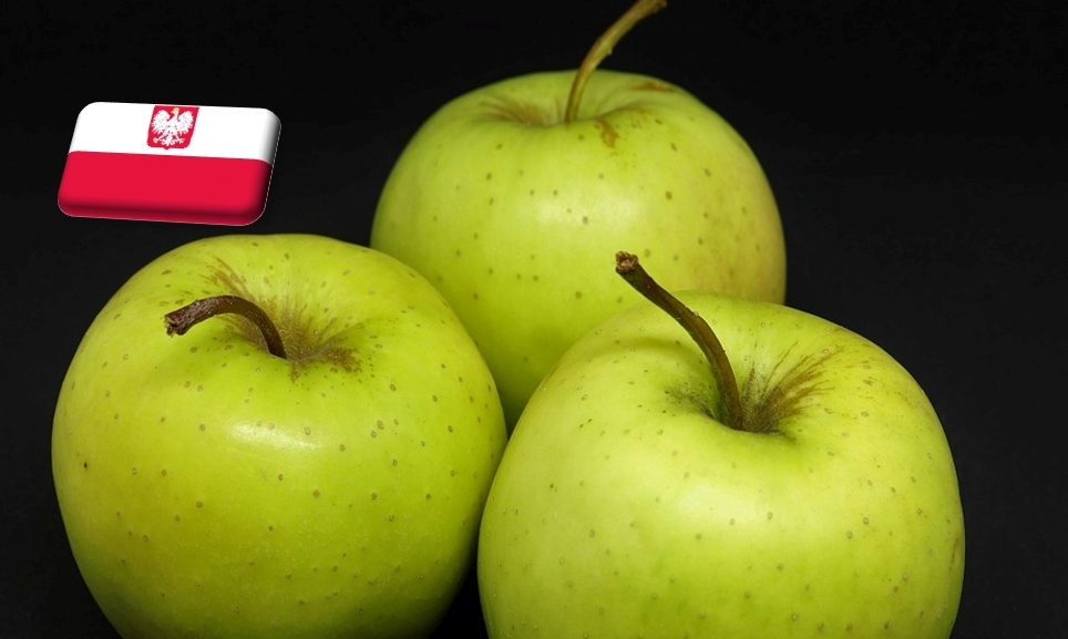 Lengyelország: májusban is olcsó a Golden Delicious