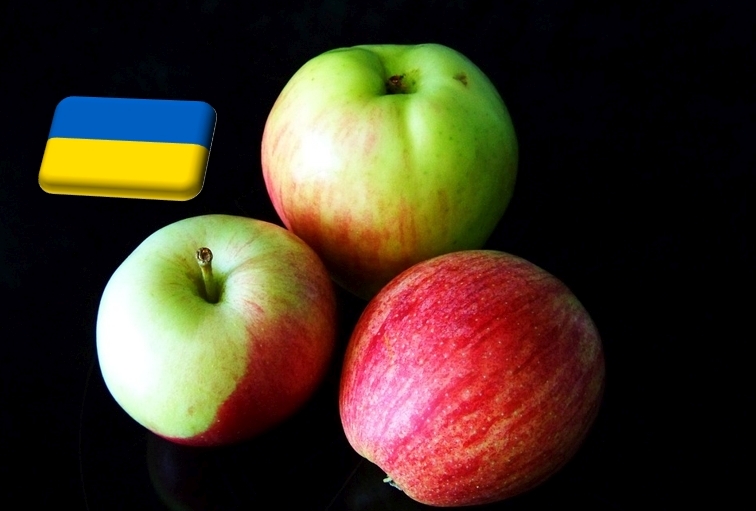 Ukrajna: 10-20%-os terméskiesést okozhatnak az almaültetvényeket sújtó fagyok