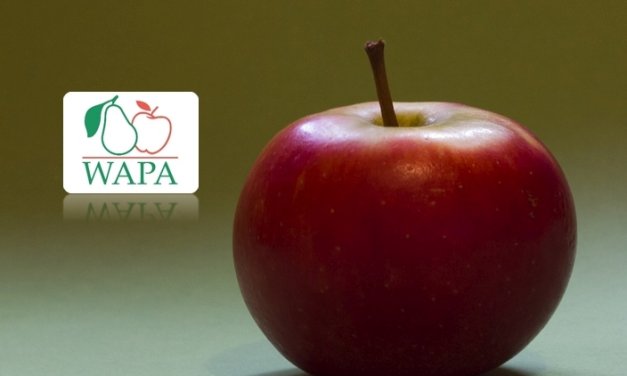 WAPA: a tavalyival azonos szinten az áprilisi almakészletek Európában