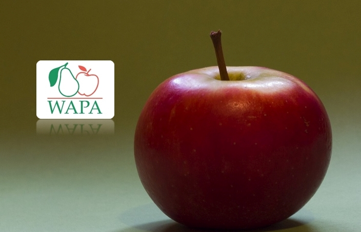 WAPA: a tavalyival azonos szinten az áprilisi almakészletek Európában