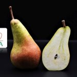 WAPA: 14,2%-kal múlták felül a decemberi európai körtekészletek az egy évvel korábbi mennyiséget 