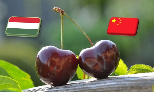 Friss magyar cseresznye érkezhet Kínába