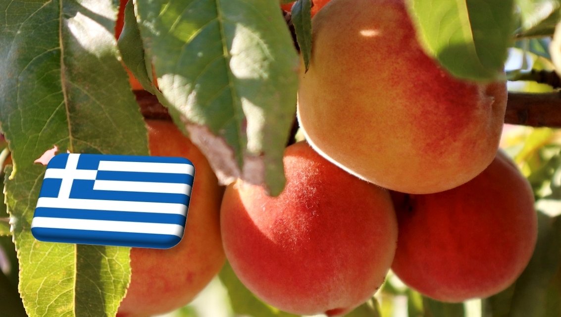Görögország: 8%-kal nő az idei őszibarack- és nektarintermés