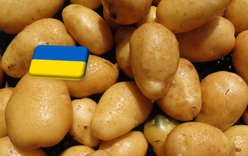 Ukrajna: egy év alatt háromszorosára drágult a burgonya