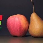 Harvista 1,3 SC: szükséghelyzeti engedély alma és körte kultúrákban