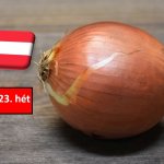 Ausztria: mérsékelt áremelkedéssel kezdődött meg az új hagyma szezonja a 23. héten