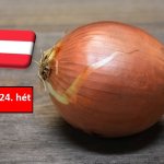 Ausztria: lassan halad a hagyma betakarítása